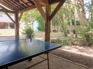 Stolní tenis v ubytování Gîte chaleureux dans un ancien corps de ferme avec wifi, cheminée et grand jardin à Châteaudun - FR-1-581-71 nebo okolí