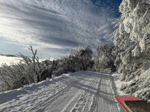 MAGNIFICENT SKIING ON MOUNT BULLER v zimě