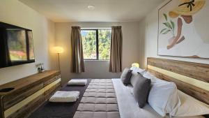 Televiisor ja/või meelelahutuskeskus majutusasutuses Wild Kea Lodge Franz Josef