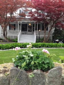 Moseley Cottage Inn and The Town Motel