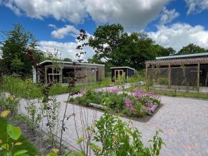 einen Garten mit lila Blumen und einem Gebäude in der Unterkunft Luxury holiday home surrounded by water in Sint Nicolaasga
