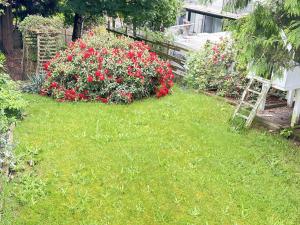 Galeriebild der Unterkunft Fraser Valley Getaway With Breakfast S-5 in Abbotsford + 14 Fotos