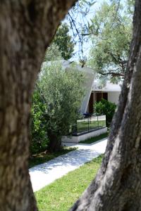a view of a house seen through a tree at Luna Mare Boutique Seaside in Borsh