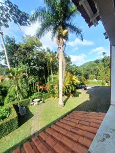 a palm tree next to a brick walkway at Espaço Plataforma in Nova Friburgo +3 photos