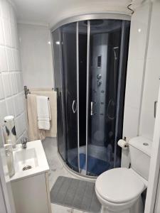 a bathroom with a shower and a toilet and a sink at Casa da Mina in Ponta Delgada +28 photos