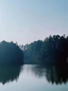 景德镇景德镇西山湖凯莱度假酒店(景德镇中国陶瓷博物馆店）的一大片水,有树在背后
