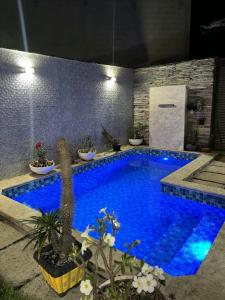 a large blue swimming pool with cactuses and plants at Casa linda em Goianésia! in Goianésia