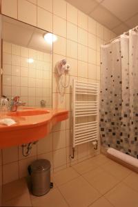 Ein Badezimmer in der Unterkunft Hotel Zelený Dům