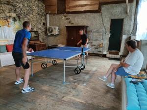a group of men standing around a ping pong table at La salamandre de l'escat chambres et table d'hôtes in Montastruc-de-Salies