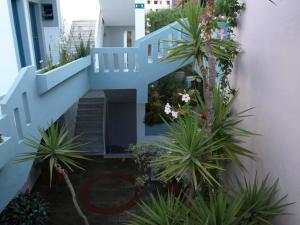 A garden outside Hotel Kleopatra