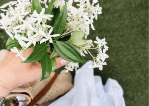 Fotografie z fotogalerie ubytování Amy B&B casetta di charme v destinaci Vercelli