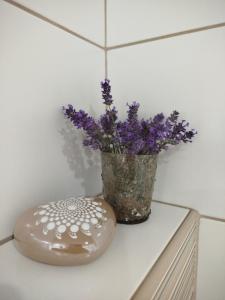 Gallery image of Ubytování v rodinném domě in Ostopovice +20 photos