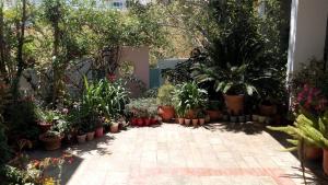 A garden outside Hotel Kleopatra