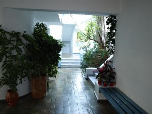 A garden outside Hotel Kleopatra