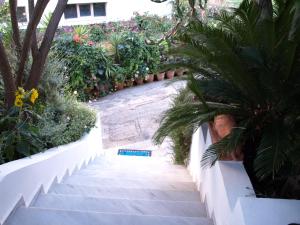 A garden outside Hotel Kleopatra