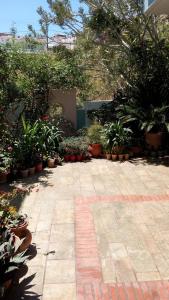 A garden outside Hotel Kleopatra