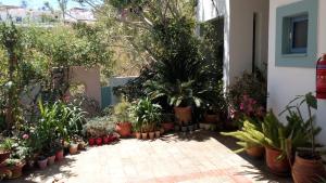 A garden outside Hotel Kleopatra