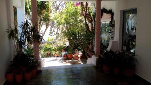 A garden outside Hotel Kleopatra