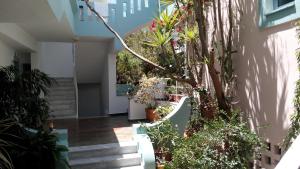 A garden outside Hotel Kleopatra