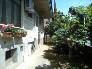Κήπος έξω από το B&B A Casa Di Nonna