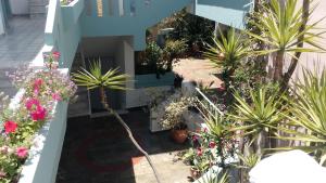 A garden outside Hotel Kleopatra