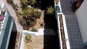 A garden outside Hotel Kleopatra