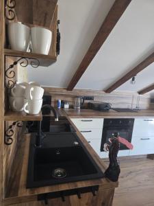 Kuchyň nebo kuchyňský kout v ubytování Apartments Angir