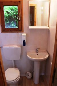ein Badezimmer mit einem Waschbecken, einem WC und einem Spiegel in der Unterkunft Anthares World Resort in Candia Canavese
