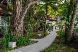 Zahrada ubytování Zara Beach Resort Koh Samui