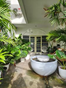 En have udenfor Creative Bangkok Bed