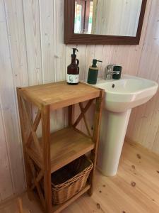 a bathroom with a sink and a counter with a bottle of wine at Lake House Denderi in Rubene