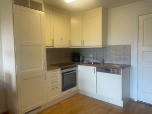 Køkken eller tekøkken på Sentral, Hc-Friendly Apartment