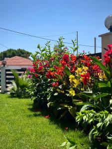 a row of colorful flowers in a yard at Galatea Suites in Kalyves Poligirou