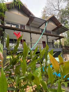 Κήπος έξω από το Natural Homestay, Sulthan Bathery