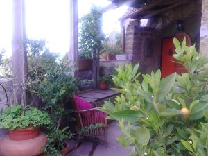 a porch with plants and a bench in front of a building at Casa Sulla Rupe in Calcata