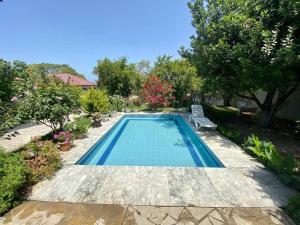 una piscina con una silla y algunas plantas en Дача 3 спальни У Моря Бузовны, en Mardakan