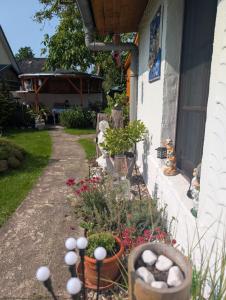 a garden with plants and flowers next to a house at Bungalow bei Warnemünde in Elmenhorst