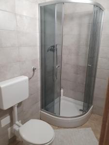 a bathroom with a shower with a white toilet at Apartment with one room-LUCIA in Selo