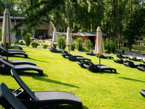 Zahrada ubytování The Hotel Unforgettable - Hotel Tiliana by Homoky Hotels & Spa