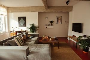 TV a/nebo společenská místnost v ubytování A Place Antwerp - Boutique Suites & Flats - Leeuwenstraat 20