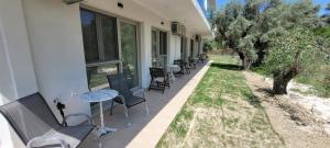 a patio with chairs and tables and a tree at Vasiliki Apts in Vasiliki