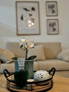 Гостиная зона в Elaia Stay