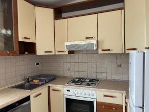 Η κουζίνα ή μικρή κουζίνα στο Apartma DaPDa +4 φωτογραφίες