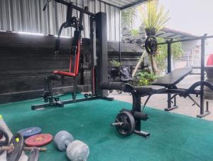 Fitness centrum a/nebo fitness zařízení v ubytování Leo Home Stay