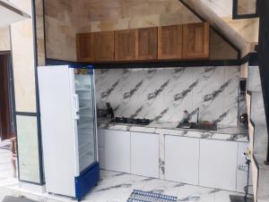 Kuchyň nebo kuchyňský kout v ubytování Leo Home Stay