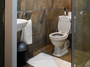 a bathroom with a toilet and a sink at Waterwoods Equestrian Venue and Cottages in Nottingham Road