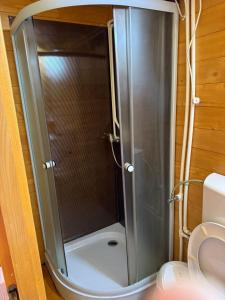 a shower in a bathroom with a toilet at Casute Enea Baile Figa cu Aer condiționat in Agrişu de Sus +54 photos