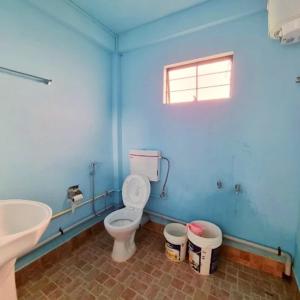 a blue bathroom with a toilet and a sink at Zinnia Homestay in Cherrapunji