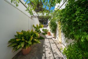 A garden outside Casa Morant on the promenade MHM