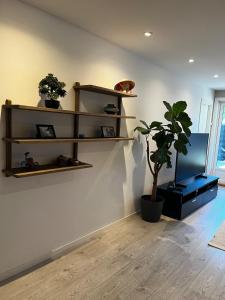 TV a/nebo společenská místnost v ubytování Apartment in Oslo